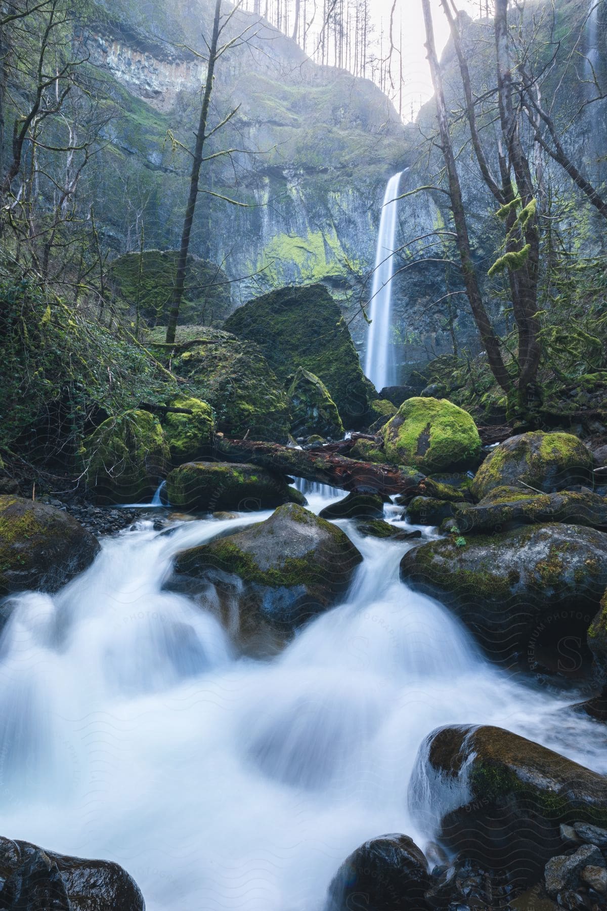 A waterfall cascades in a rocky terrain in the woods during the daytime.