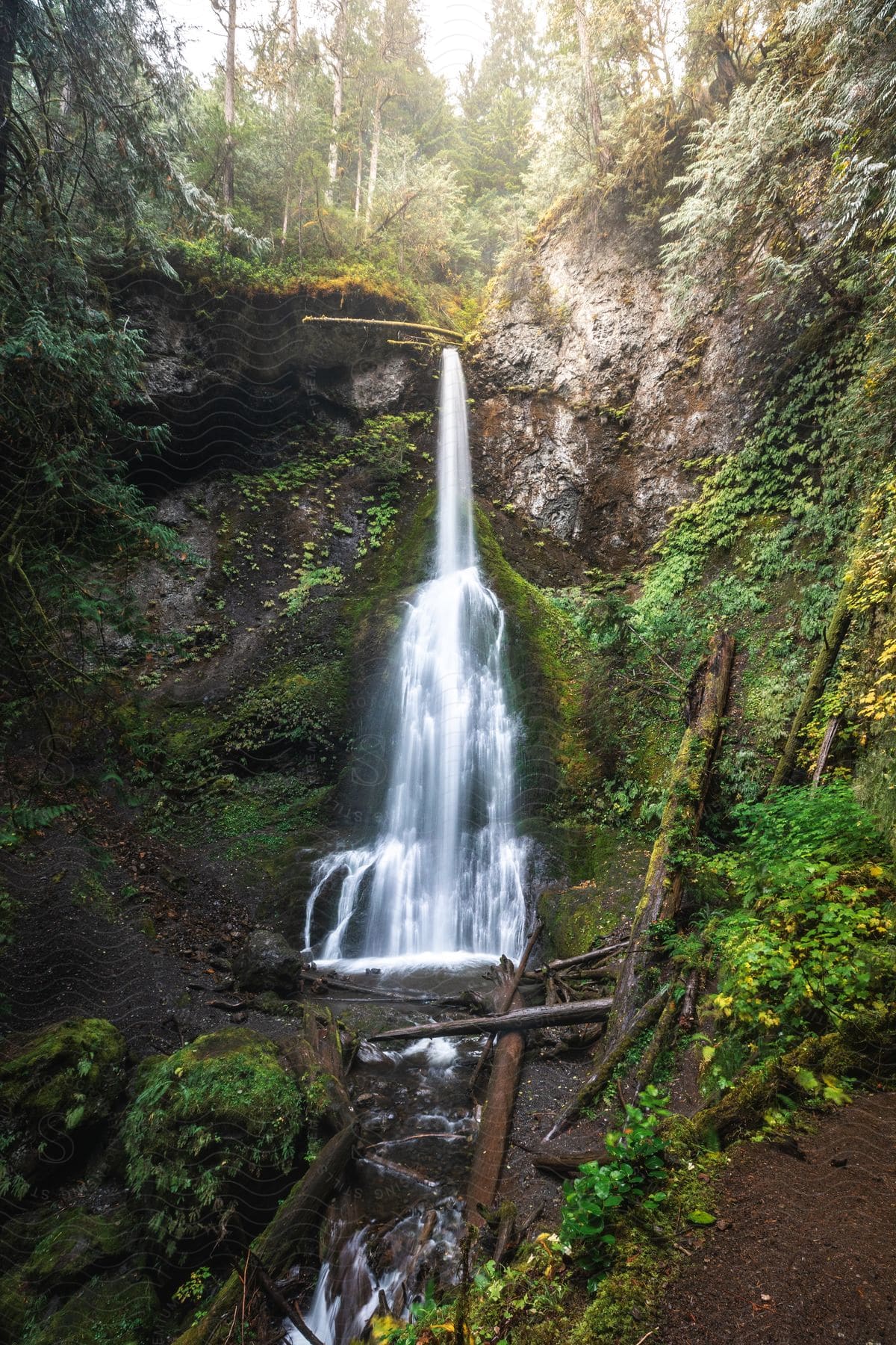 Waterfall cascading down a moss-covered rock face into a small pool surrounded by green forest.