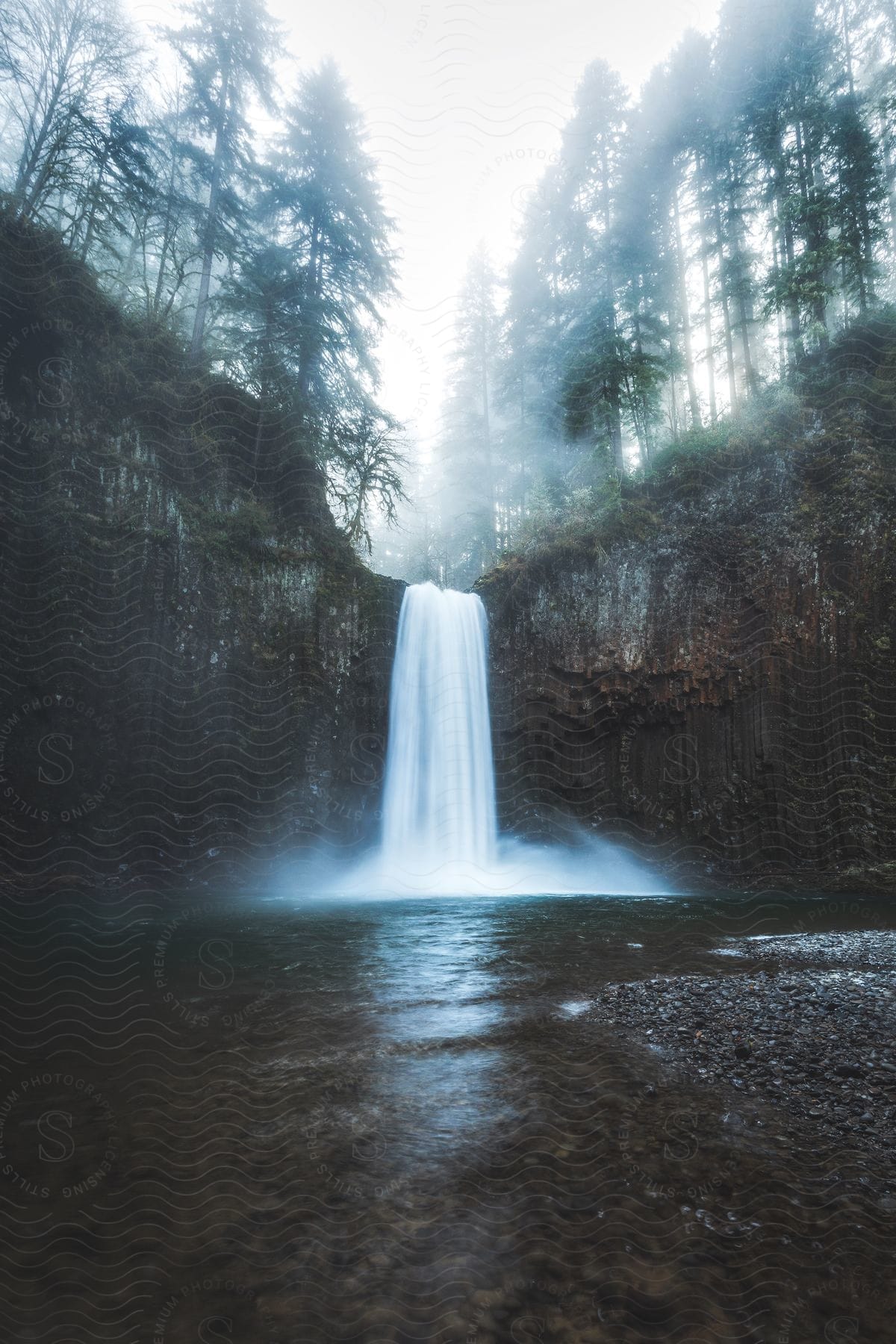 A misty waterfall cascades through a lush forest, spilling over its sides and framed by towering trees.