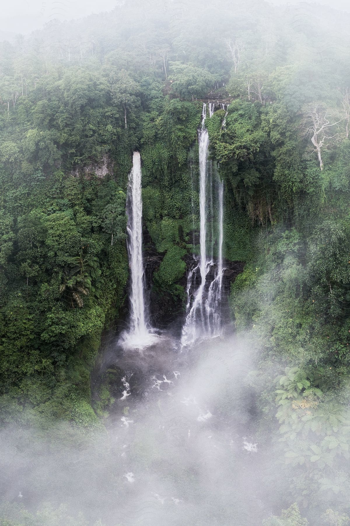Waterfalls flowing down a cliff covered in dense vegetation with fog.