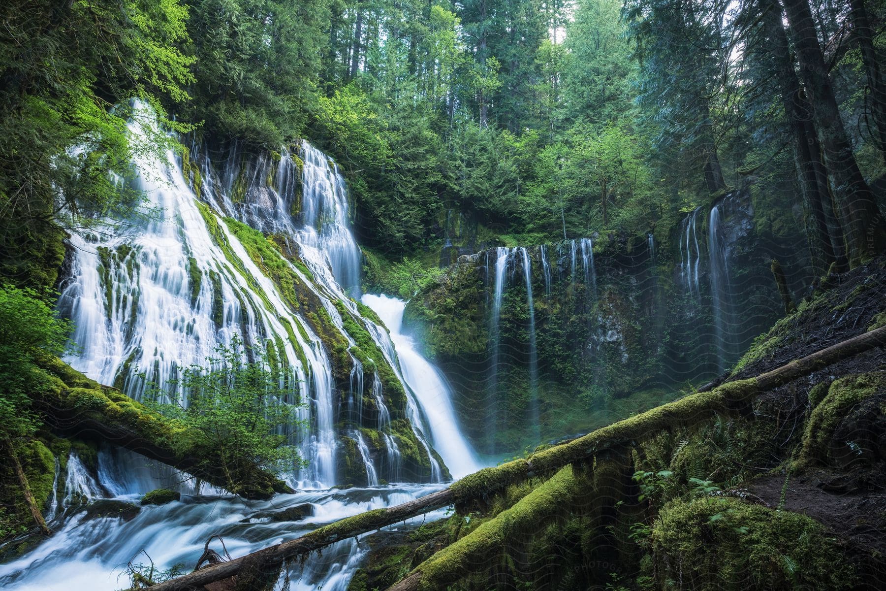 A serene waterfall that descends through a lush, green forest. Several streams of water flow down the moss-covered rocks, creating a mesmerizing view.