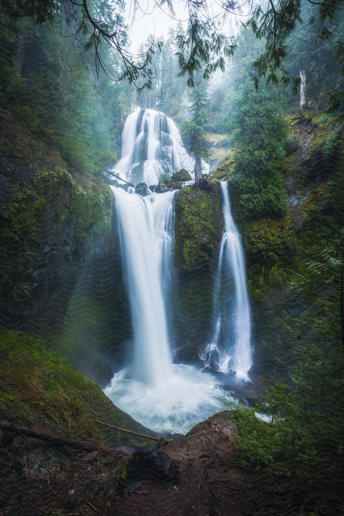 Waterfalls flow over a cliff in the rain forest