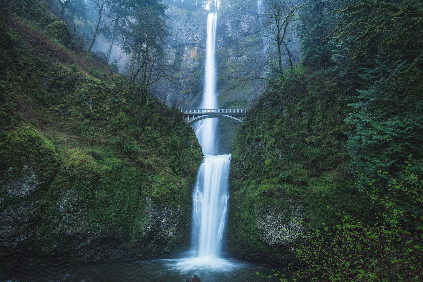 Waterfalls flow over a cliff near a bridge in the rain forest