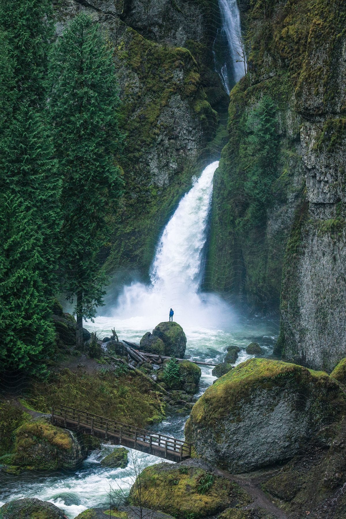 Impressive waterfall surrounded by vegetation and a person seen standing on a rock.