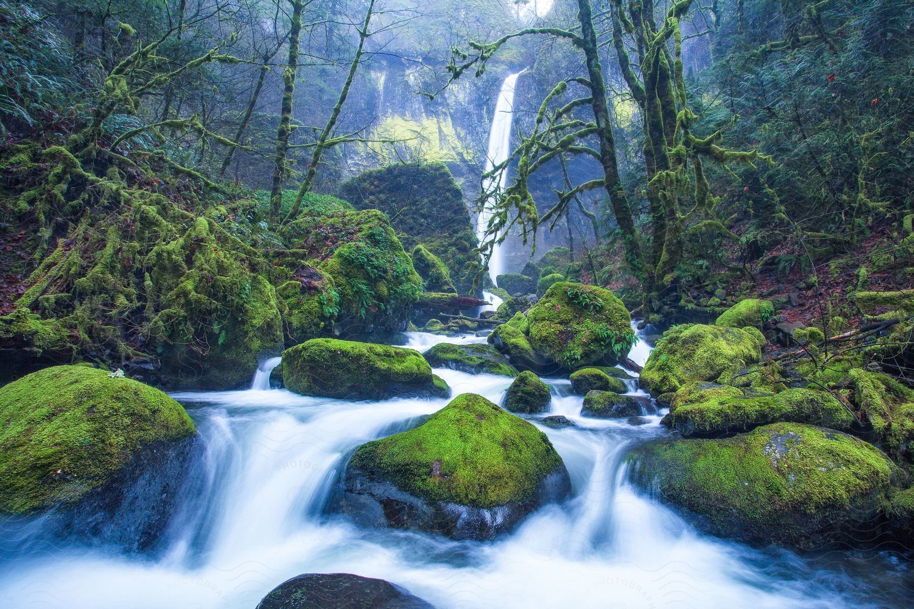 A waterfall runs through mossy stones in a forest.