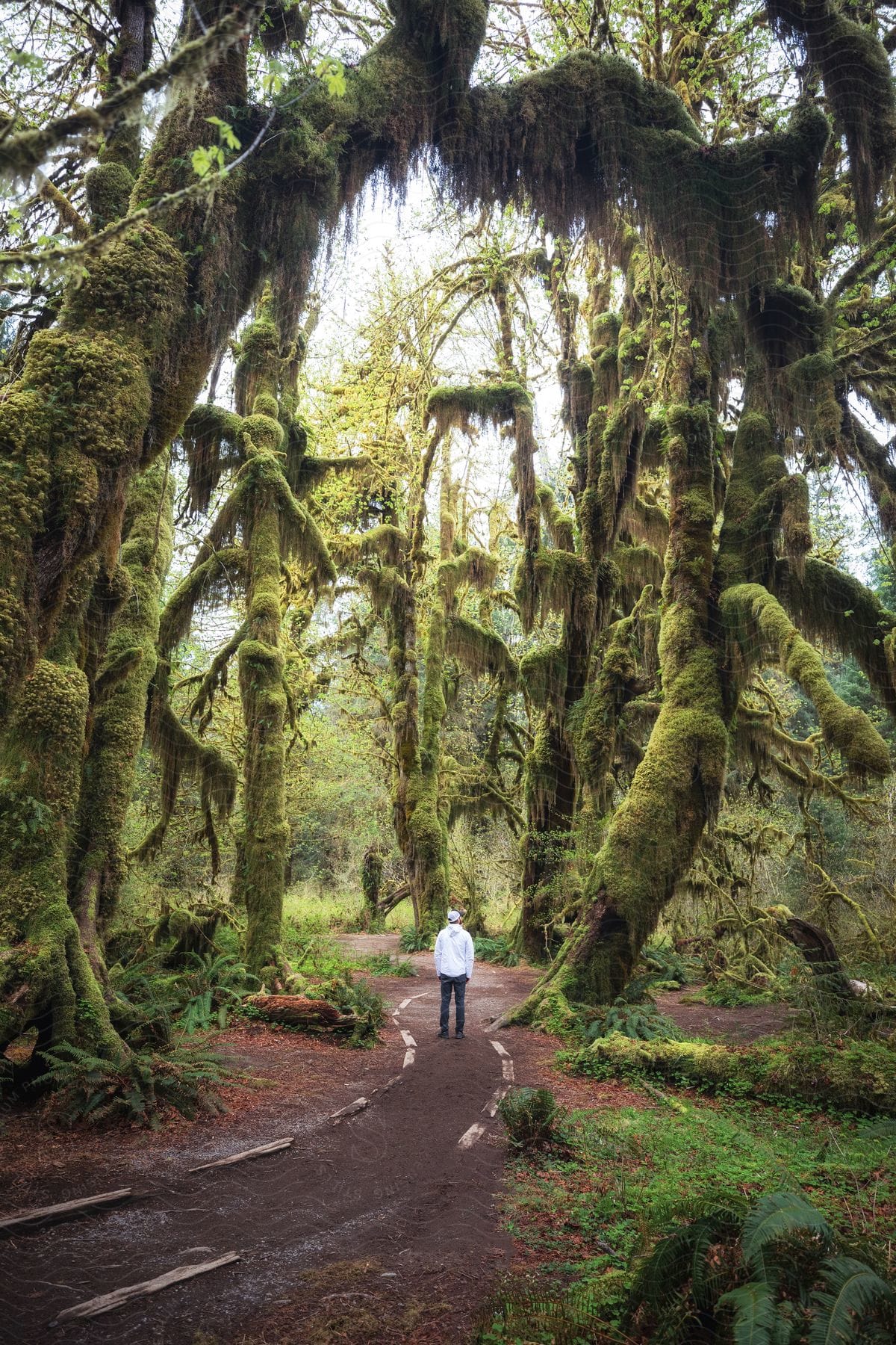 A man wearing a white shirt walks in the woods during the daytime.