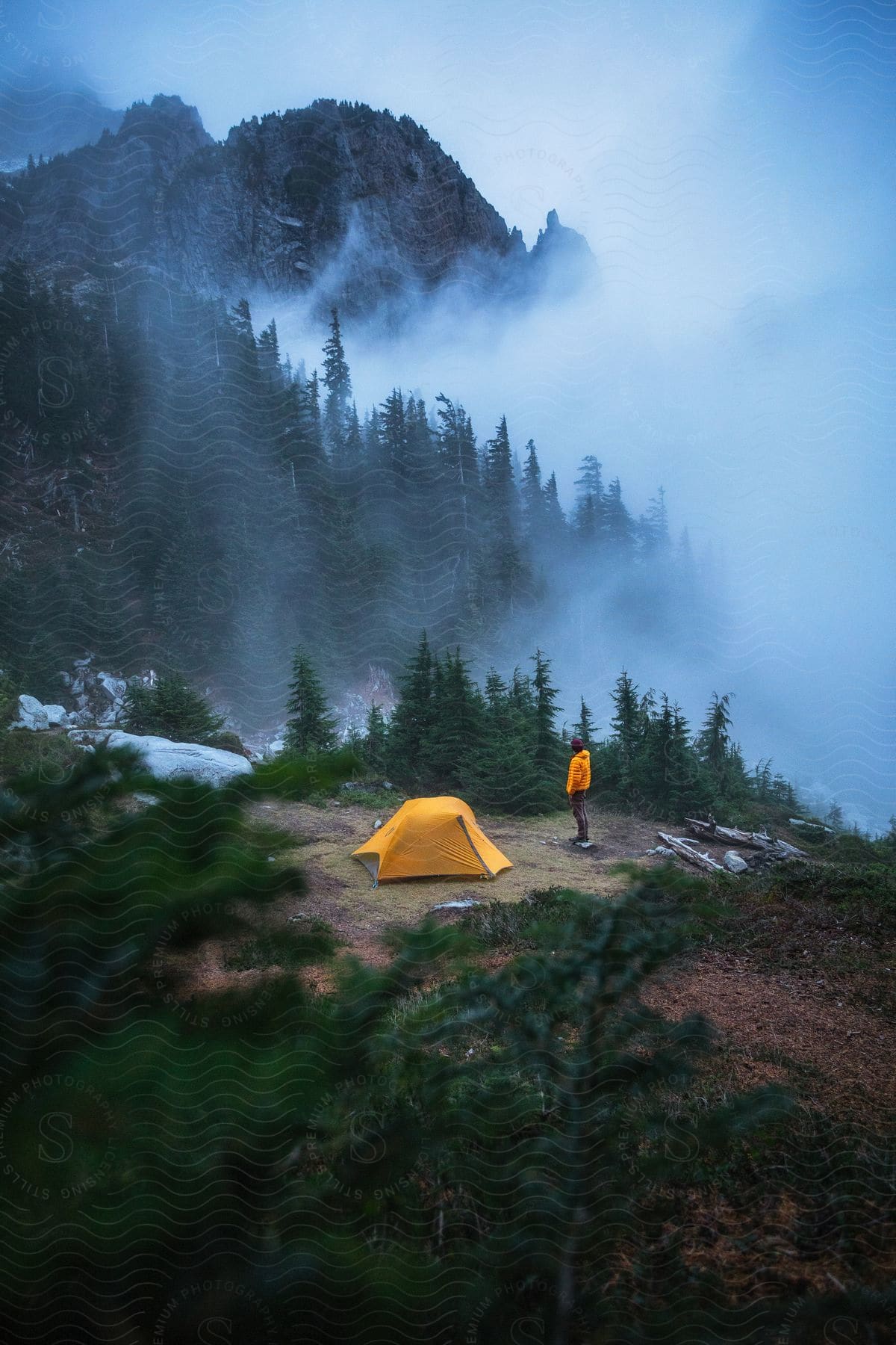 An adult camper stands next to a yellow tent on a mountain in an evergreen forest.