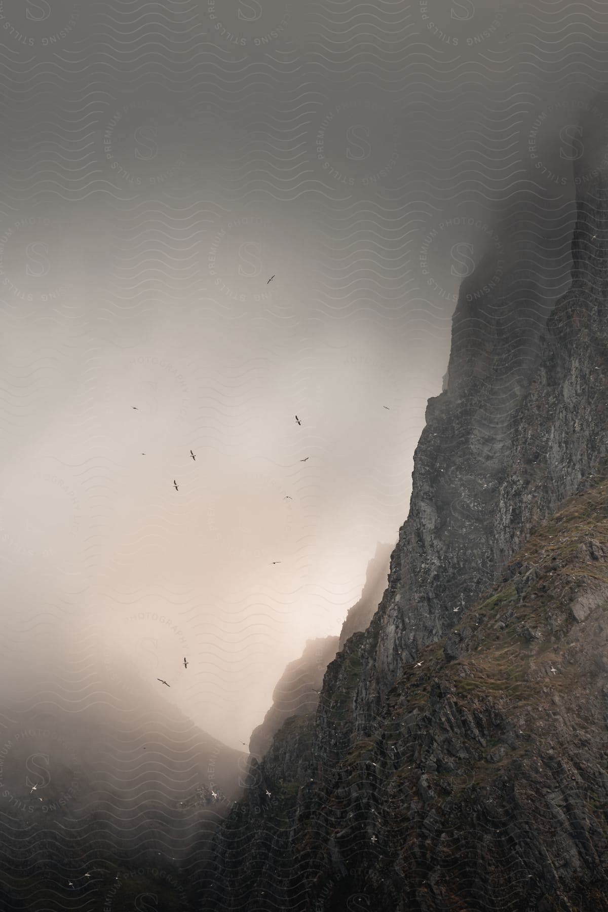 A mysterious and dramatic mountain scene, partially obscured by a dense fog. Birds fly through the mist.