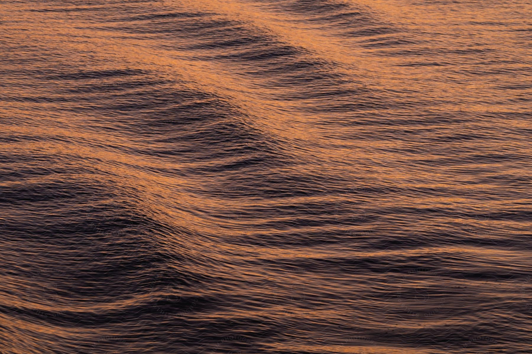 Close up of brown and black line ripples on wood