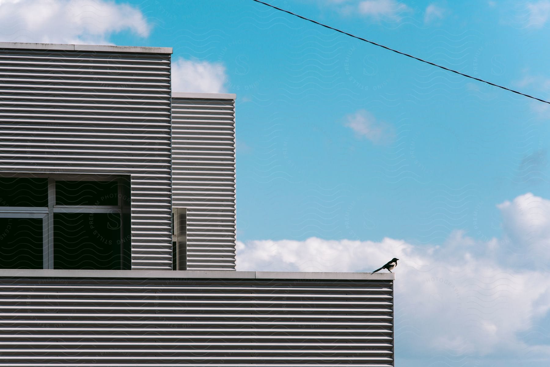 A bird is perched on the edge of a building.