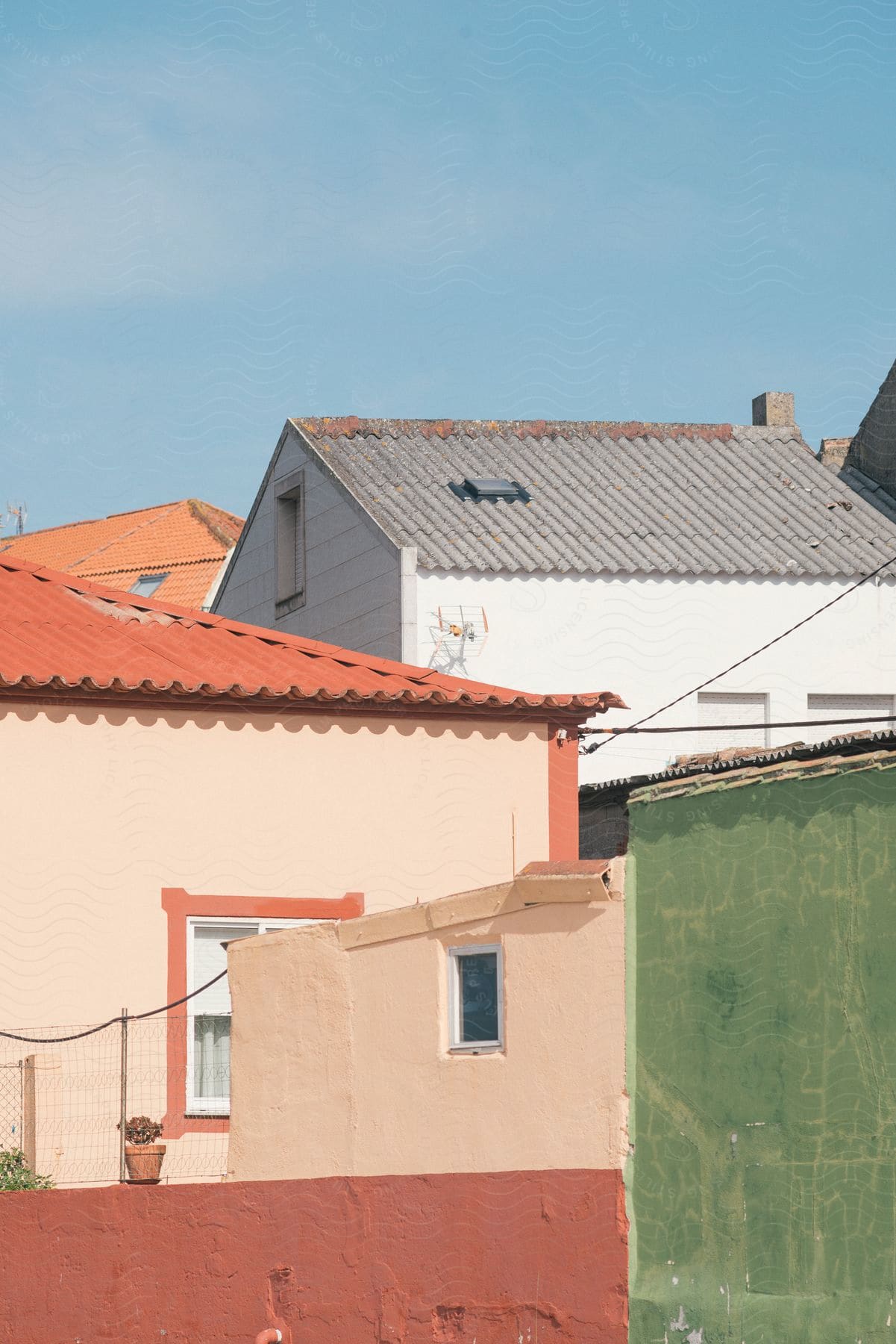 Potted plant sitting on a wall among houses and apartment buildings