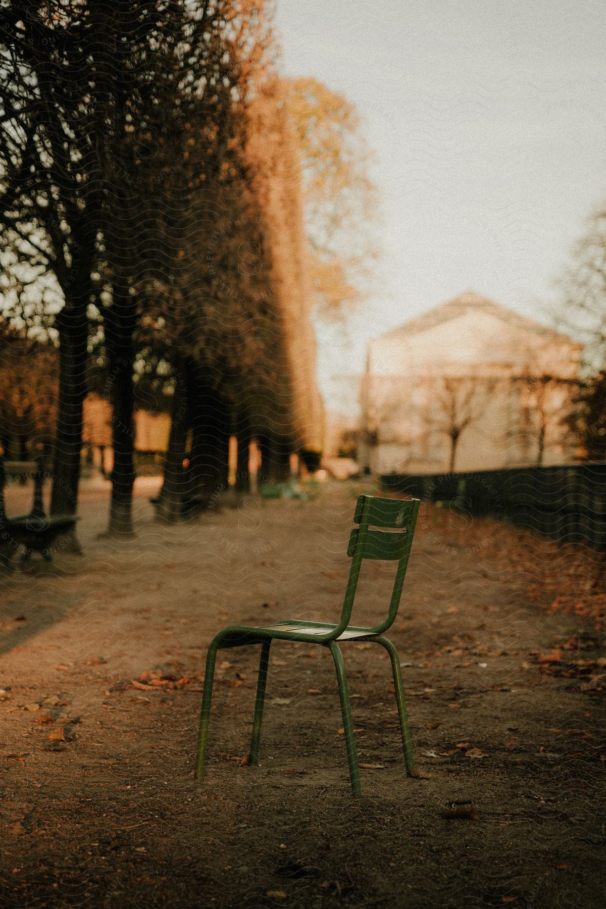 Green metal chair on the sidewalk of a tree-lined square with dry leaves lying on the ground