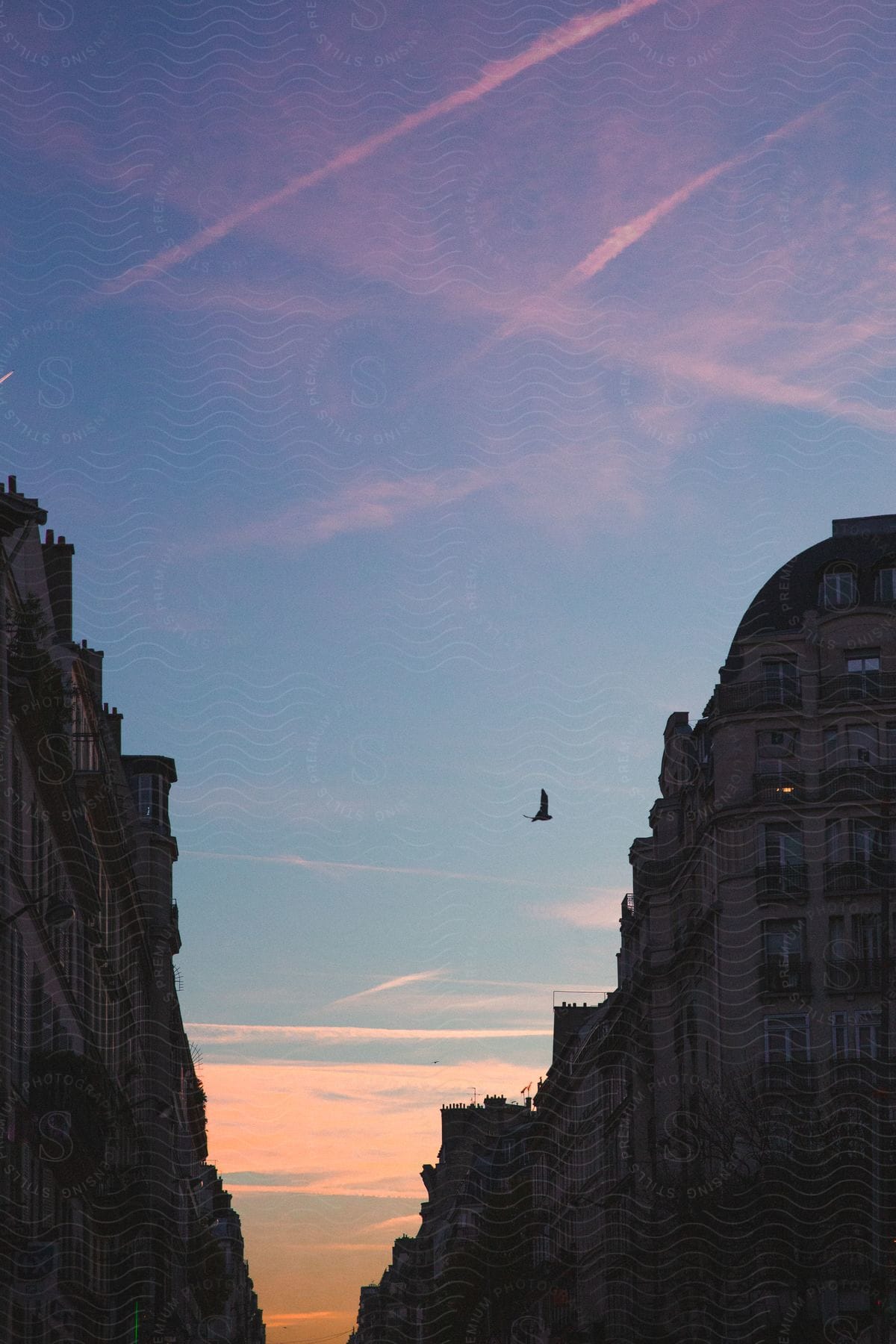 A bird is flying between buildings against a sunset sky with blue and orange hues
