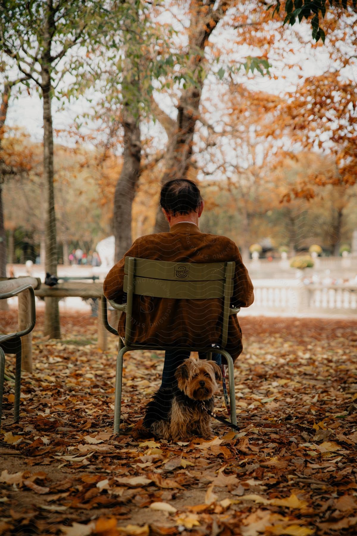 Man with his back sitting on a chair in a square with his dog behind the chair