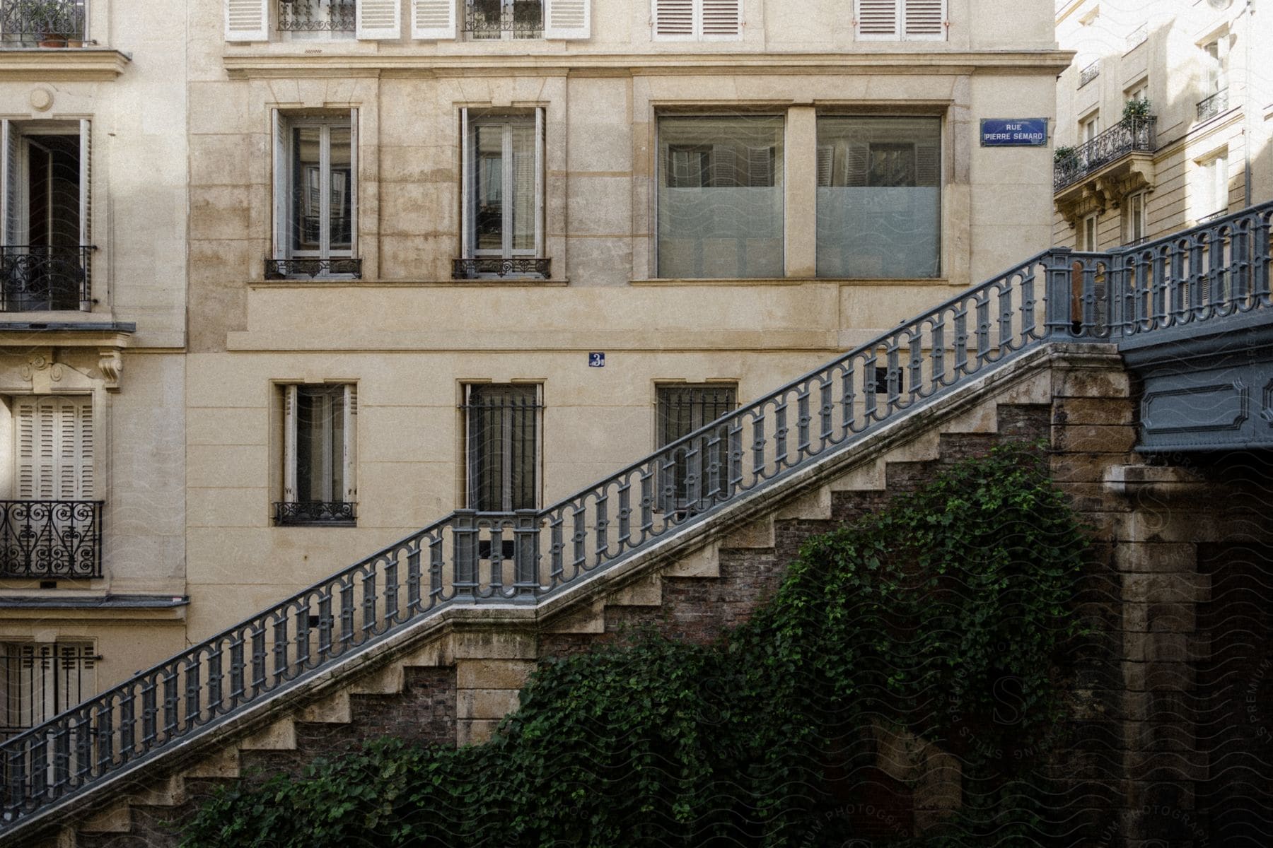 Staircase with metal railing ascending between two buildings, overgrown with ivy.