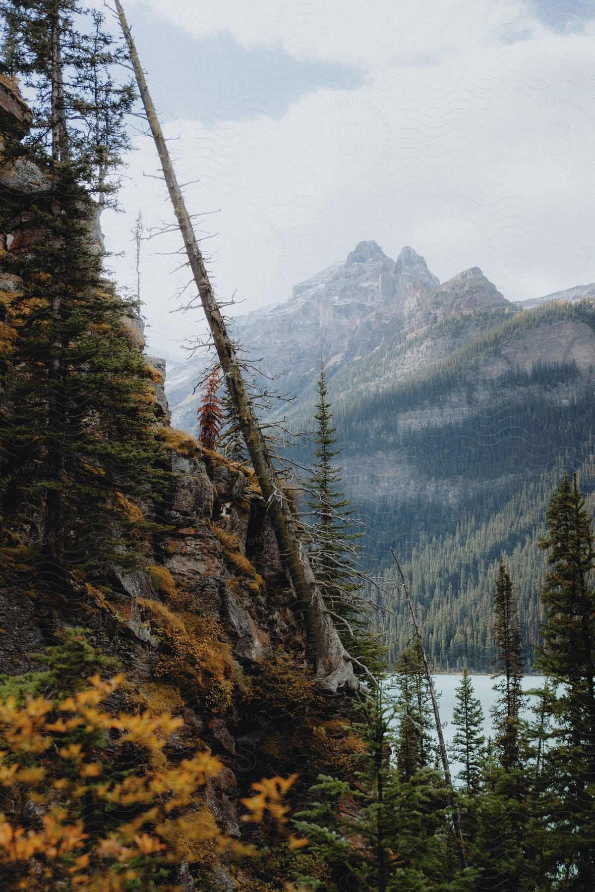 A fall forest landscape with a lake and mountain range in the distance.