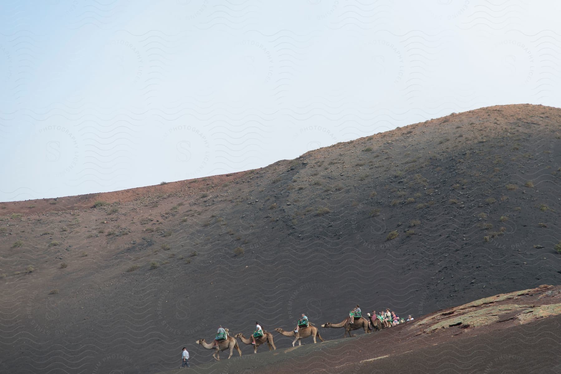 A caravan of camels climbing the side of a barren hill and several people on top of the camels