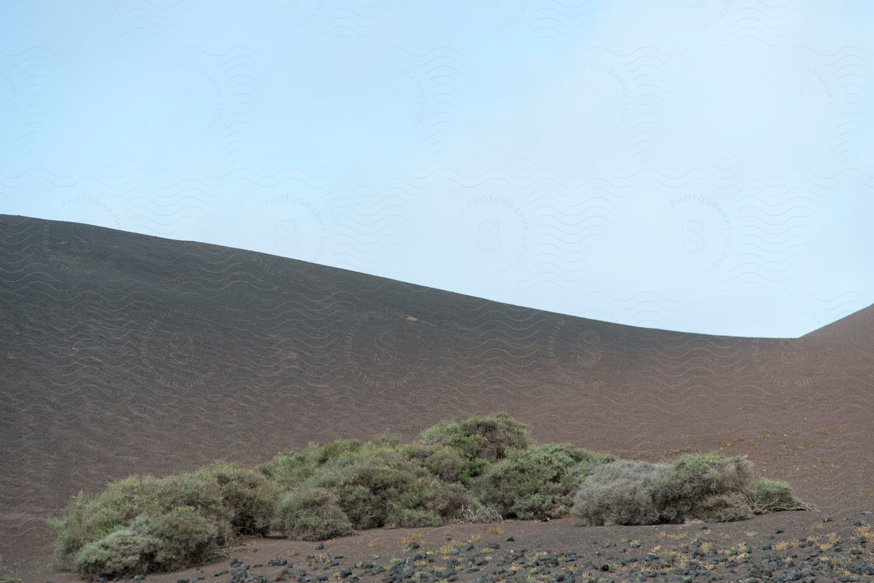 Landscape of a mountain with desert biome on a cloudless blue sky day