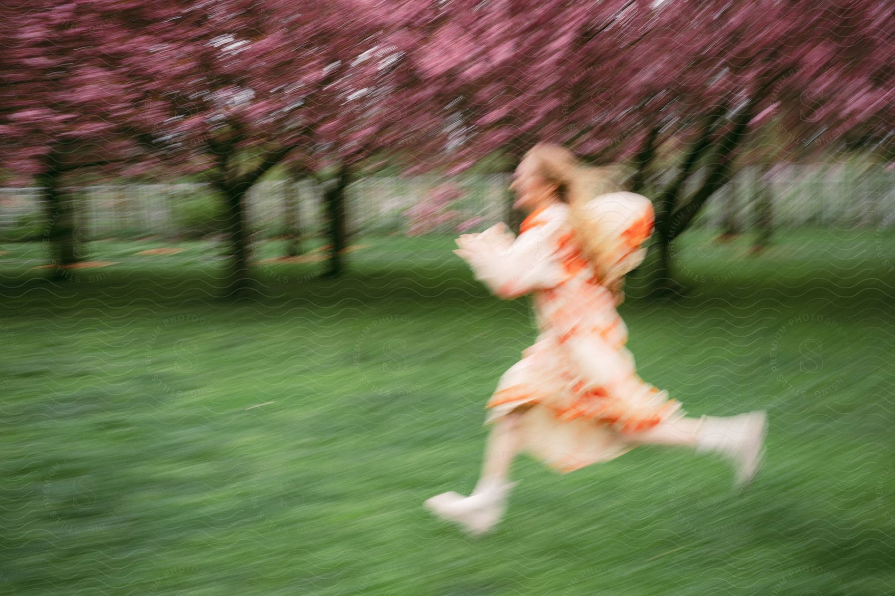 Woman in a dress running on the grass next to trees with pink flowers