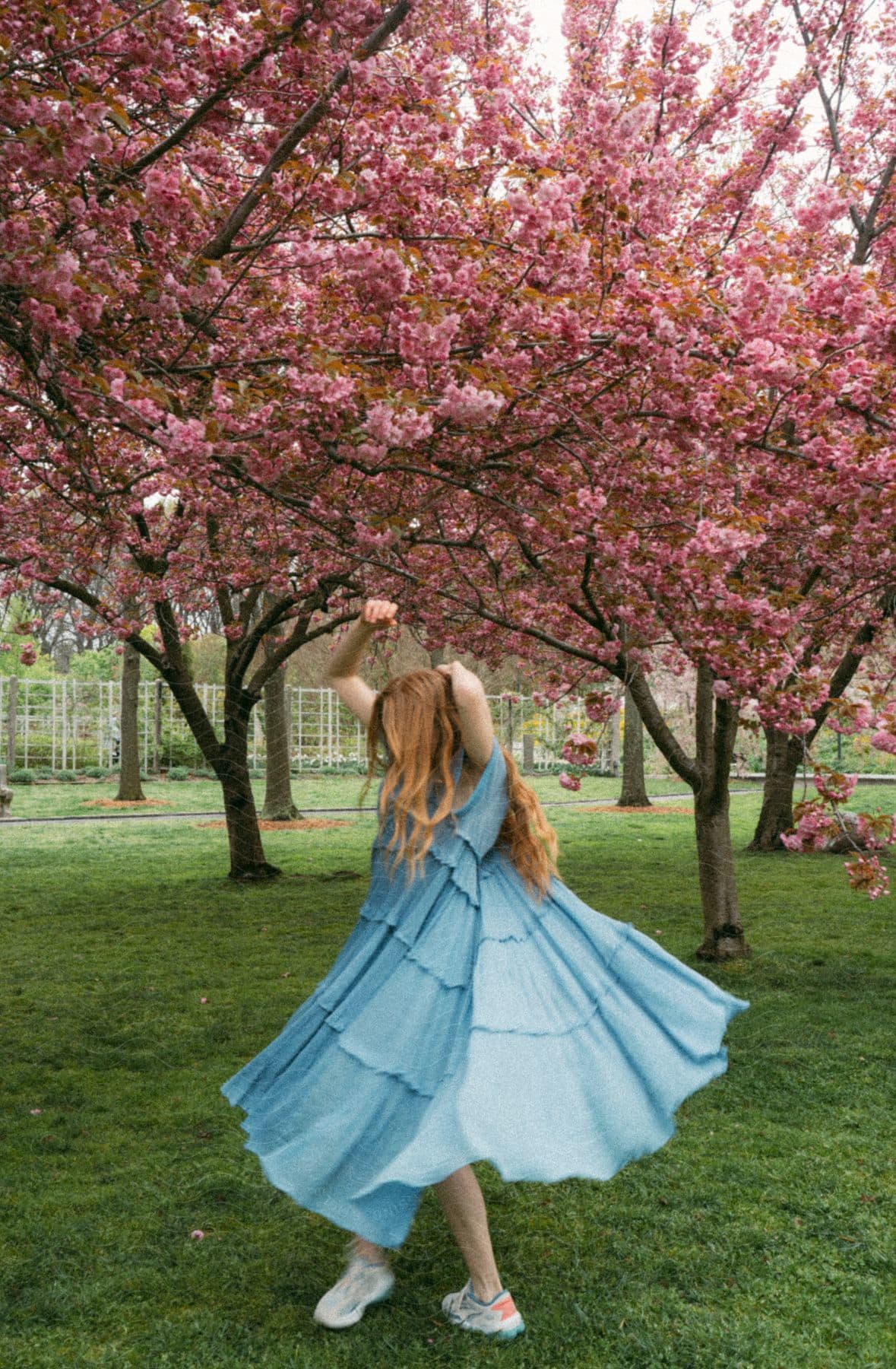 A person on his back, spinning under a tree with pink flowers, possibly a cherry tree.