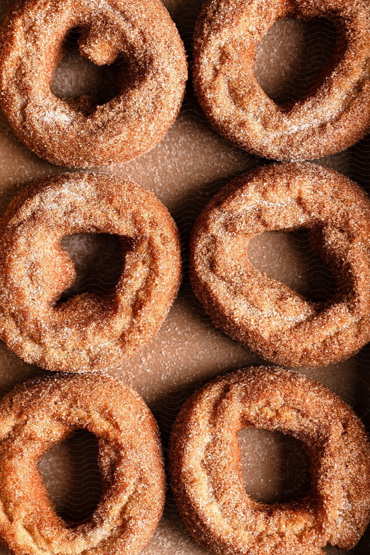 Close-up of six cinnamon sugar-coated doughnuts arranged in two rows