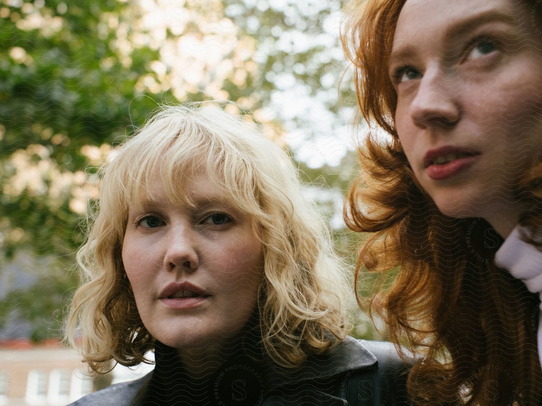 a blonde woman wearing a leather jacket and another woman with red hair wearing a white turtleneck sweater, with trees in the background.