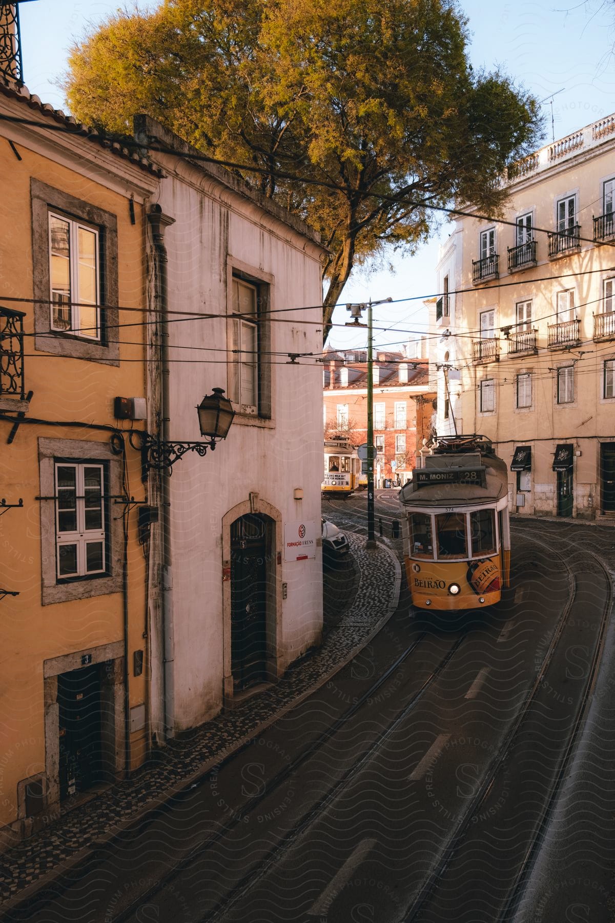 Yellow tram moving through a narrow street flanked by traditional buildings, under a large tree with autumn foliage, in a historic city.