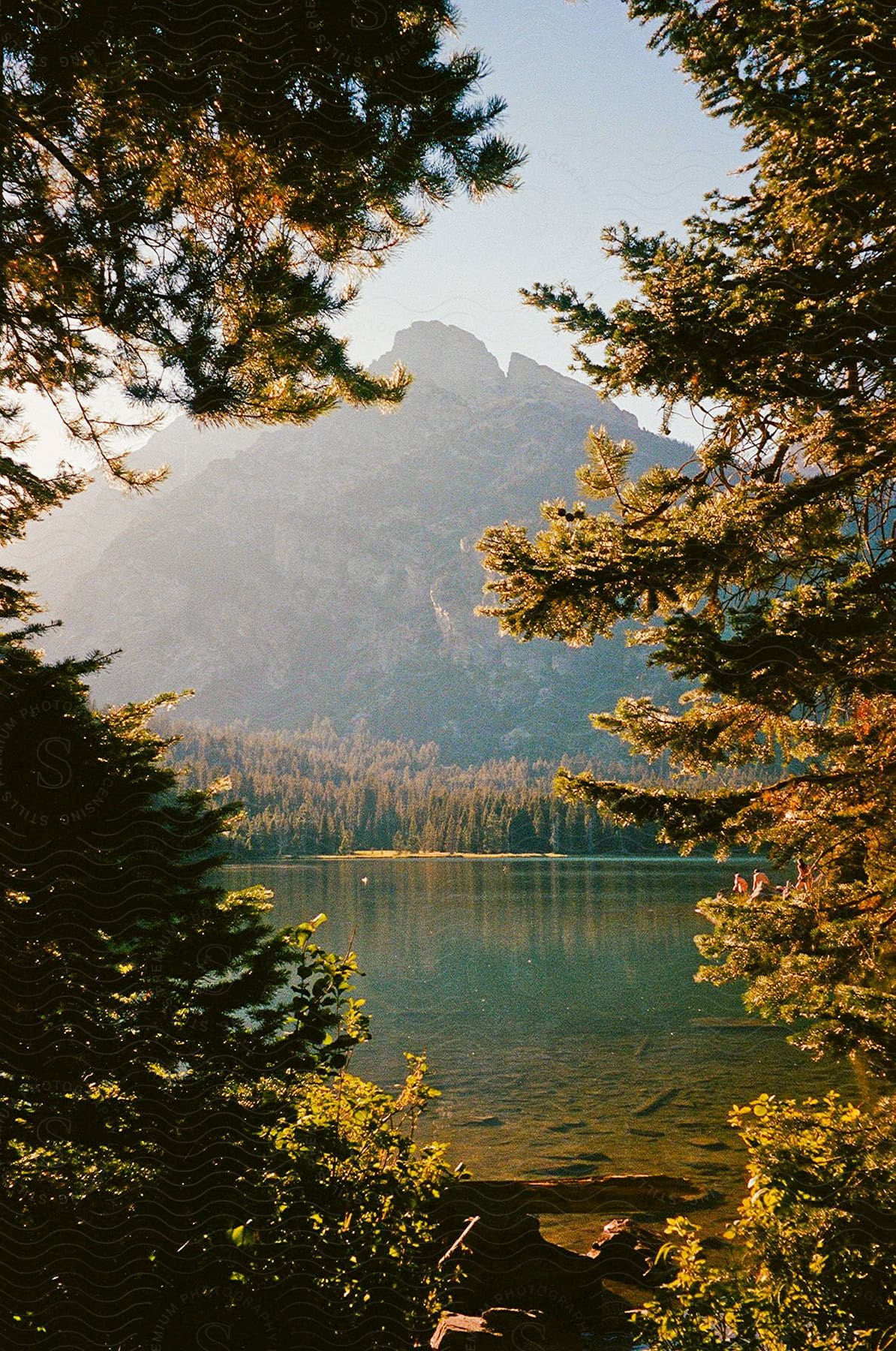 A lake with a forest and a mountain in the distance