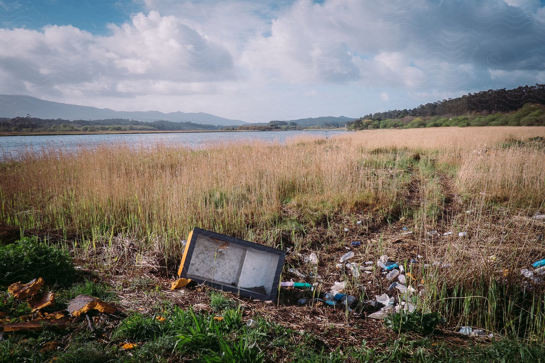 In a grassy area near a river bank during the day, there are several piles of dirt along with a wooden box.