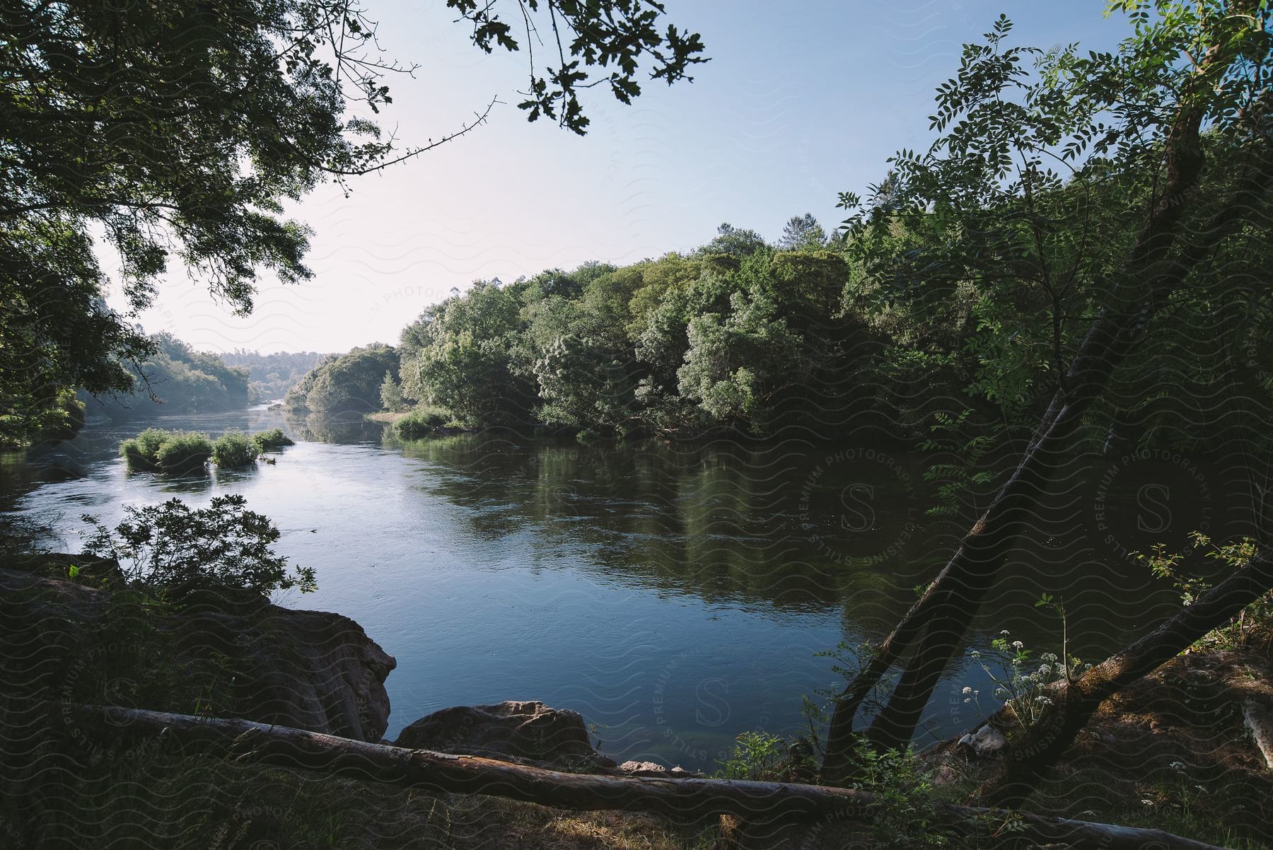 Stock photo of a wide shot of a flowing river