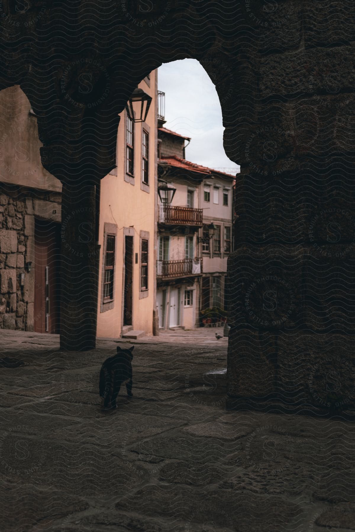 Street seen through a stone arch with houses in the background and a black cat walking.