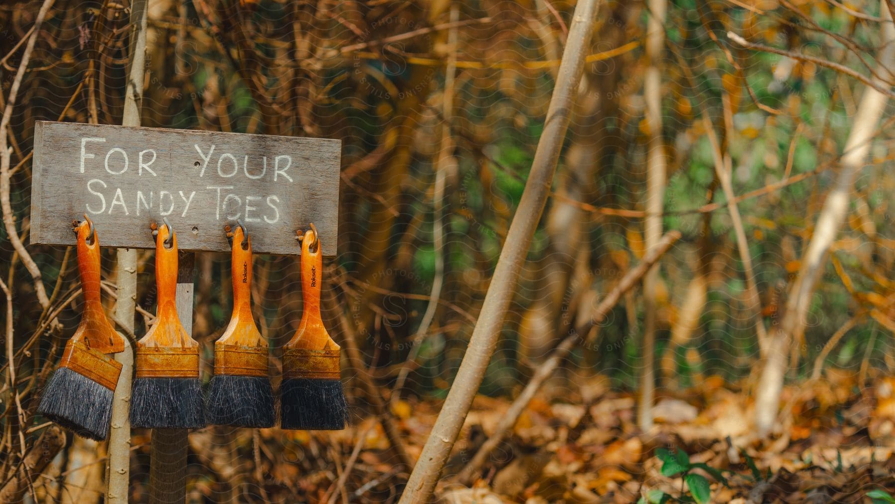 In the woods during the day, there's a board with brushes hanging from it and a sign that reads "For your sandy shoes."