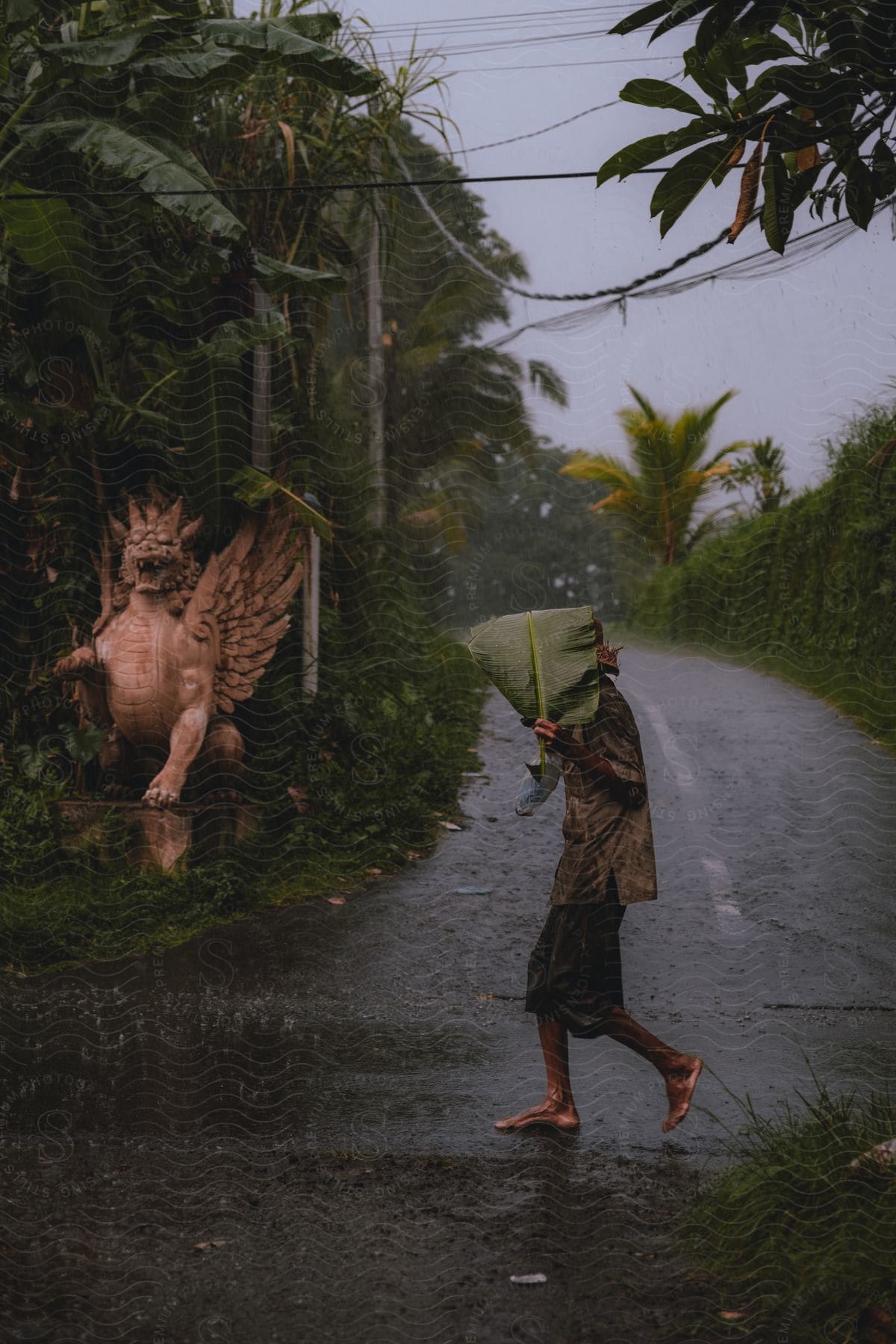 Person covers their head with a large leaf as they walk barefoot in the rain.