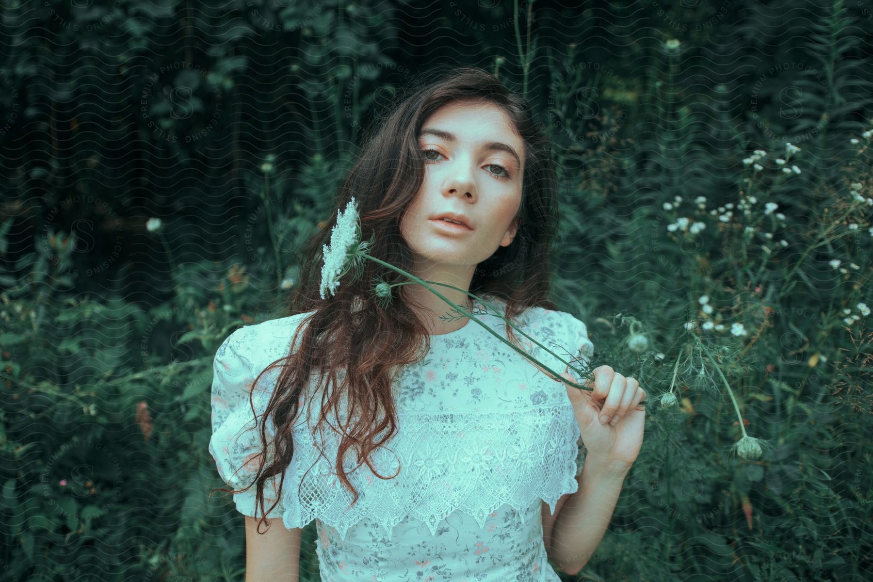 Woman standing amidst dense greenery, holding a white wildflower near her face,with a vintage-style floral dress with lace detailing, and her long, wavy hair cascades over her shoulders.