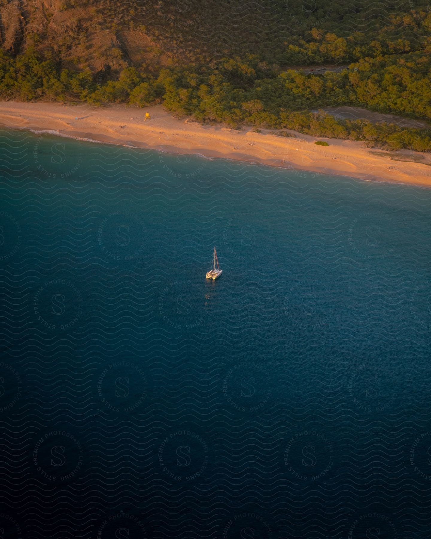A sailboat drifts near a sandy beach, green vegetation is in the background