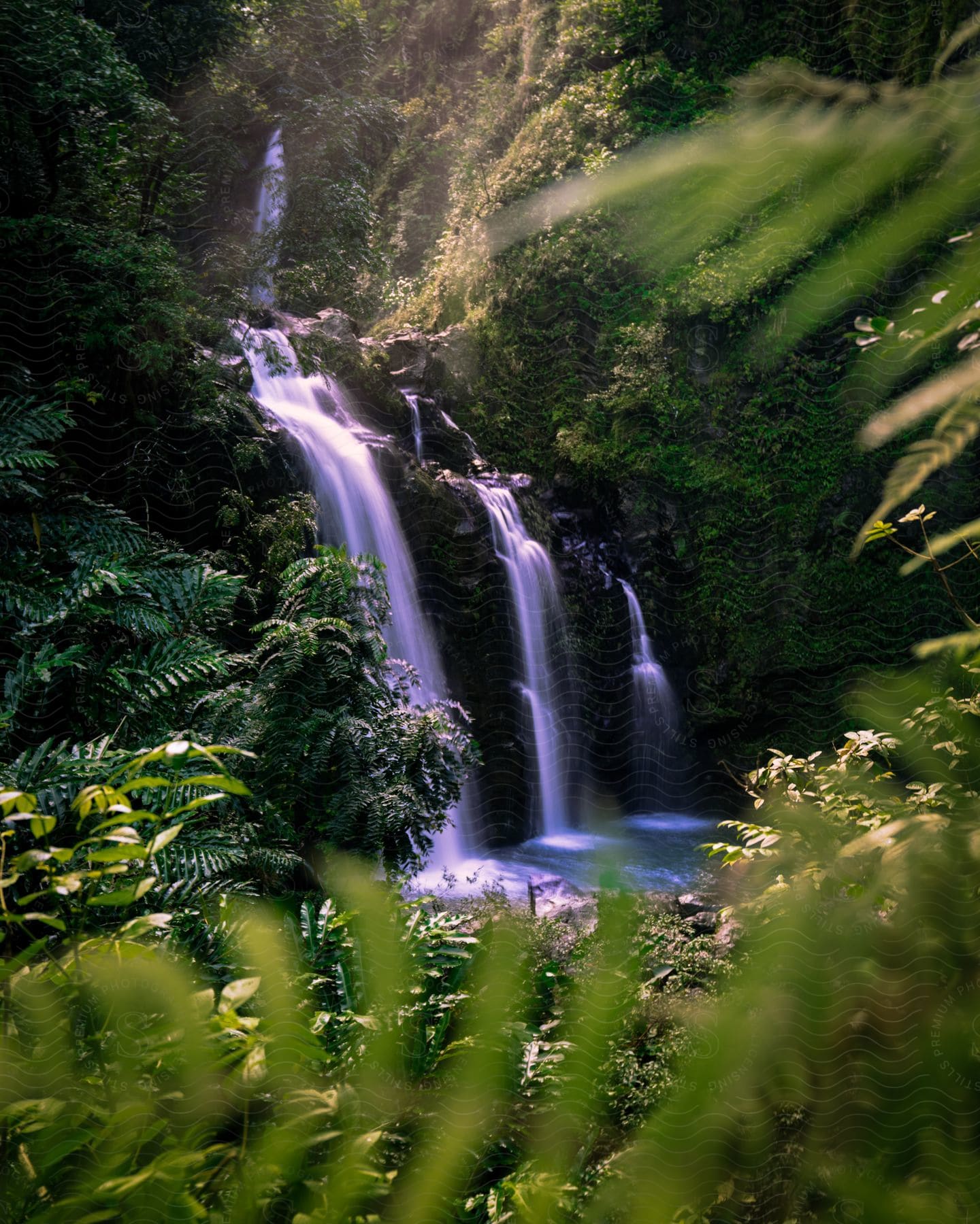 Waterfall with multiple streams of water falling into a lake surrounded by vegetation in the forest.