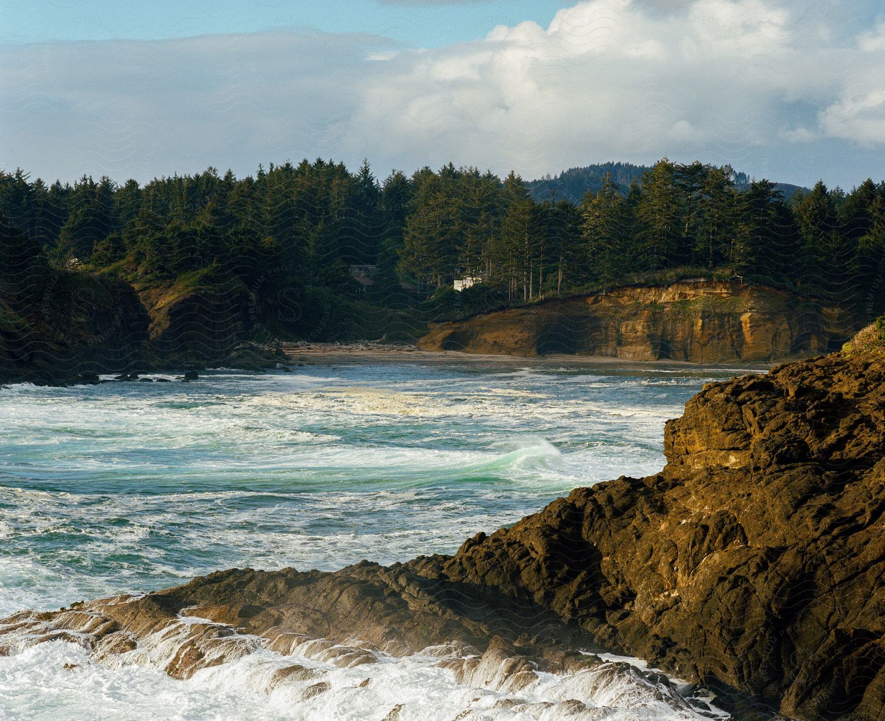 Crystal clear water laps against rocks on a beach lined with lush green trees.