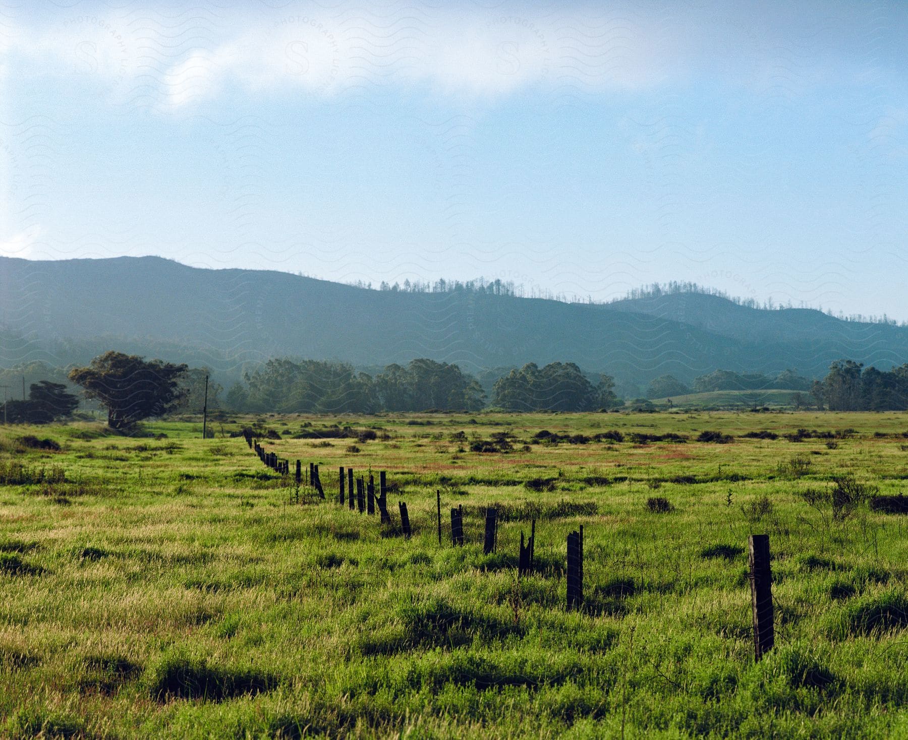 Sun-drenched farmland stretches towards a hazy hill in the distance, separated by a rustic wooden fence.