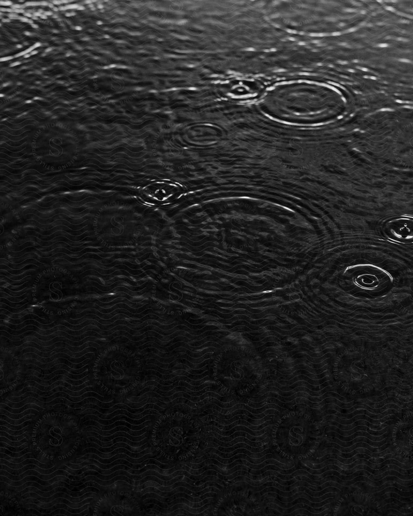 A view of some water droplets falling on a lake