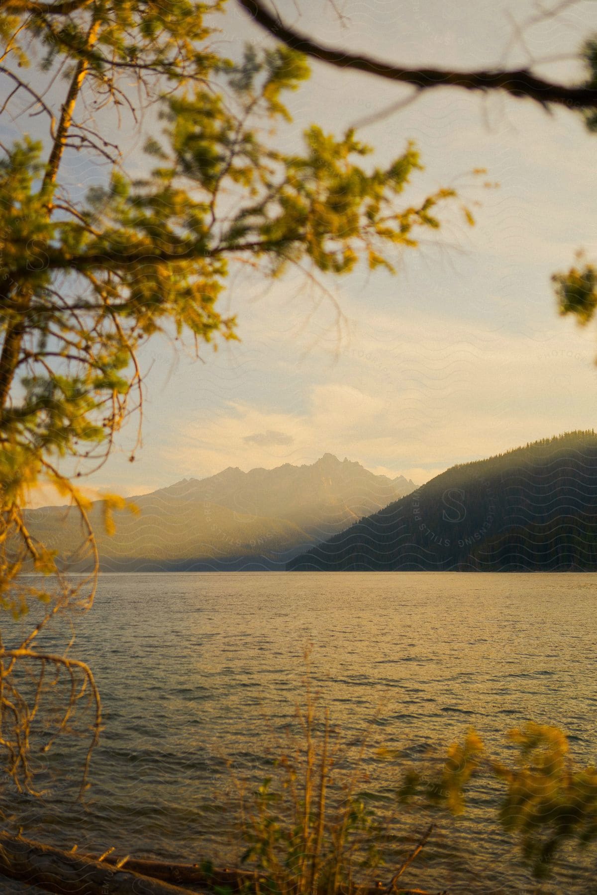 Calm sea landscape with wooded mountains in the background in a sky with clouds