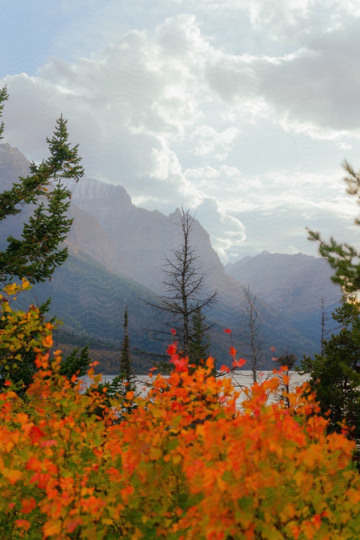 A breathtaking autumnal scene unfolds with fiery leaves in the foreground, a meandering river carving its path through the valley, and majestic mountain ranges shrouded in a veil of clouds on the horizon.