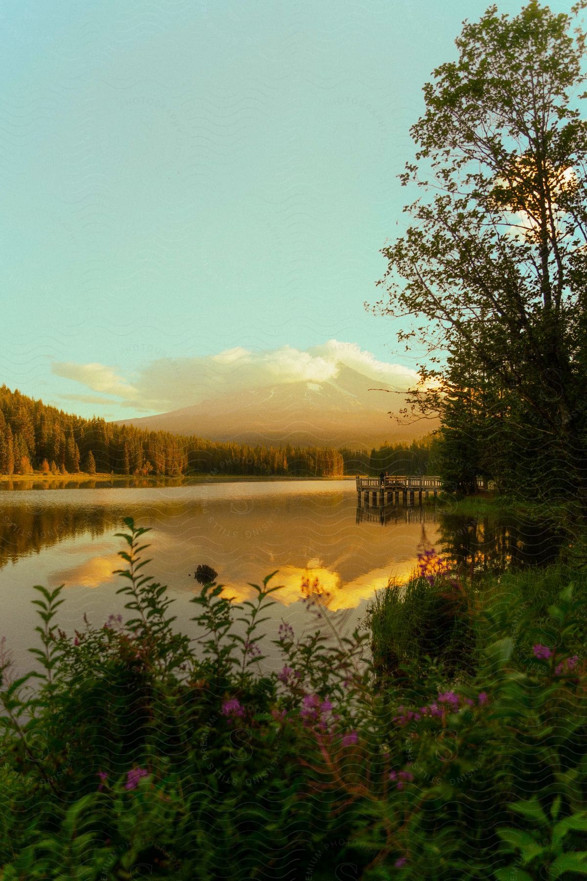 Tranquil lake with golden sunset reflections on the waters surrounded by vegetation and with mountains in the background.