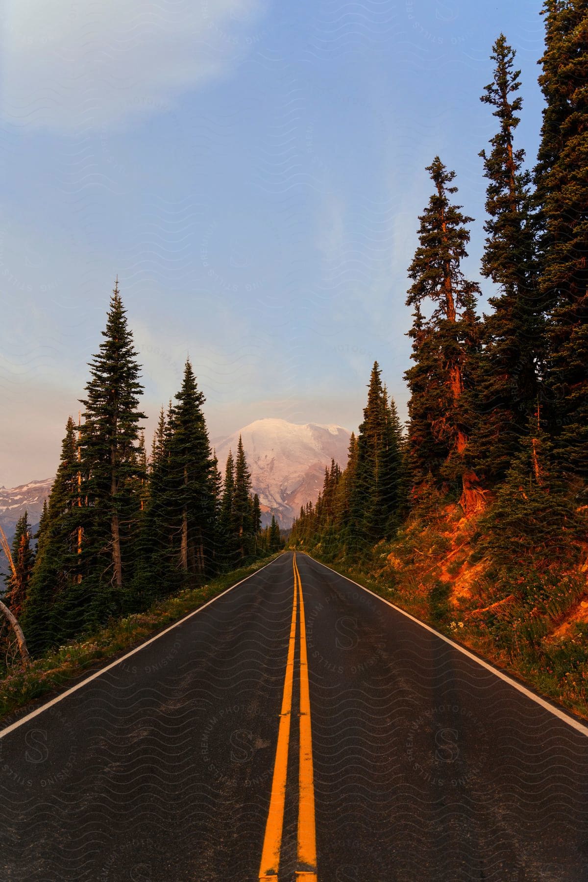An empty road stretches directly towards a majestic mountain, flanked by tall trees under a softly lit sky.