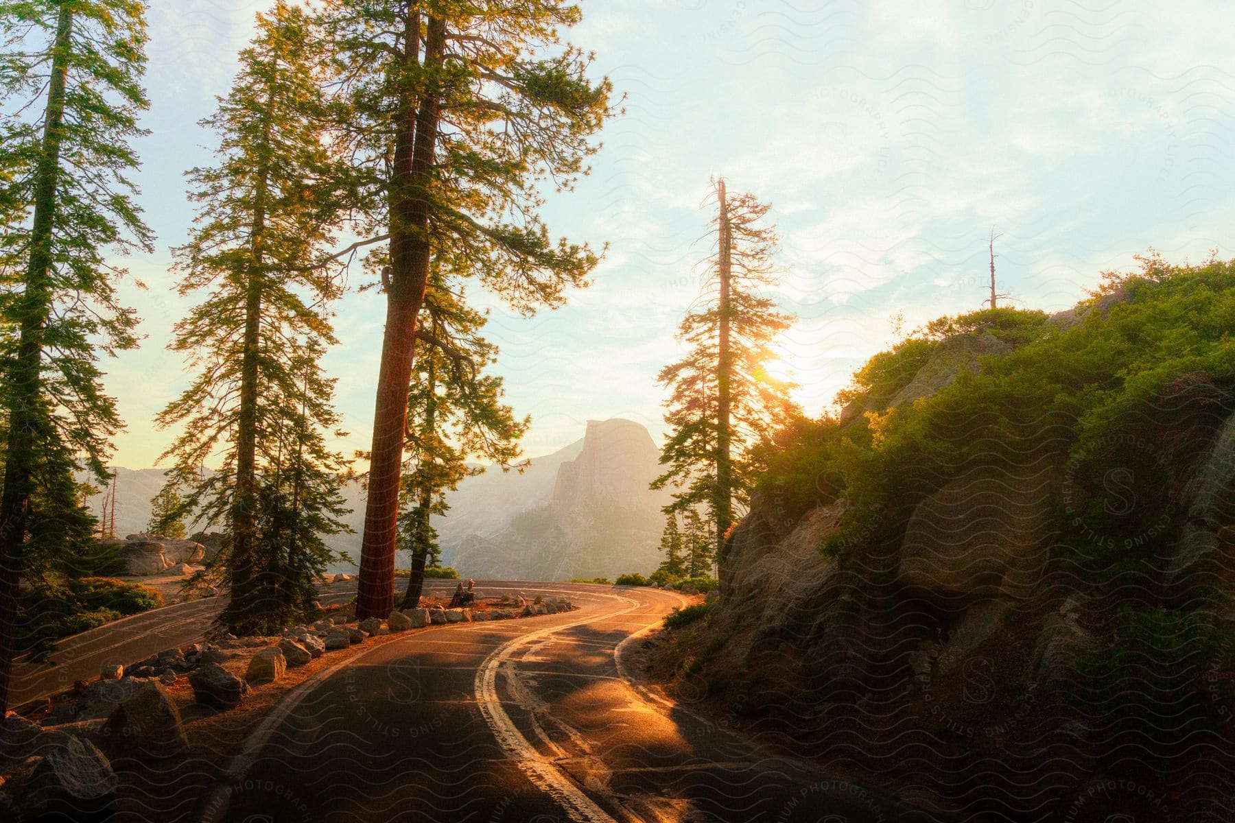 An asphalt road is surrounded by tall trees and is illuminated by the golden rays of the sun.