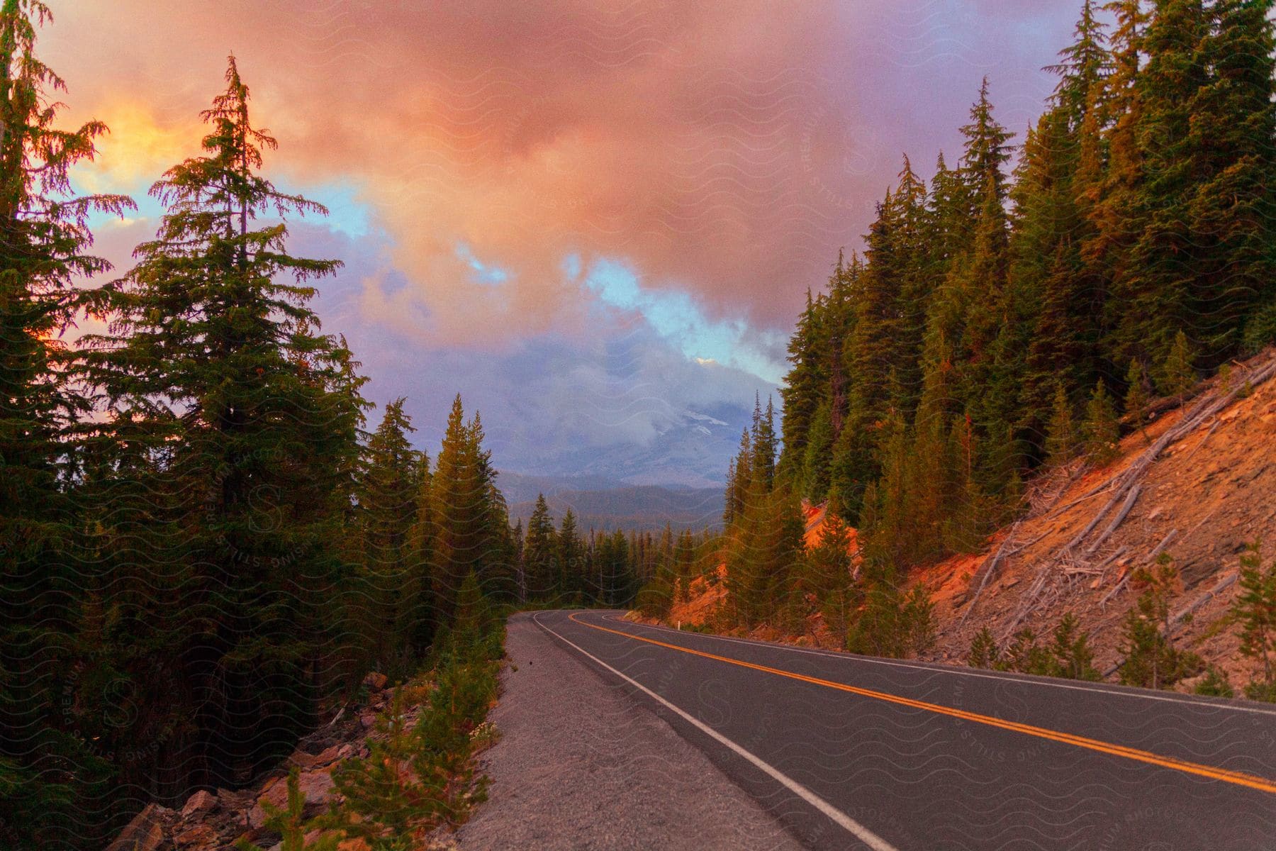 Natural landscape with an asphalt road with mountains and conifers around and a reddish sky