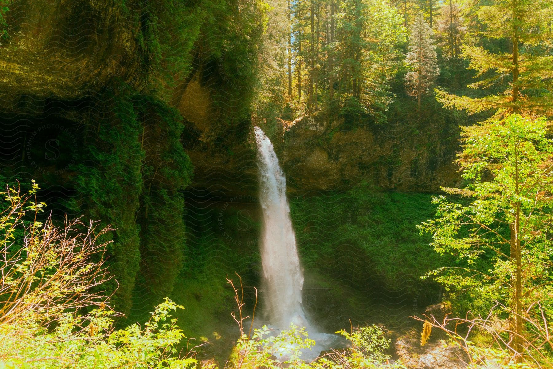 Tall, narrow waterfall falling from an opening in an overgrown cliff in daylight.