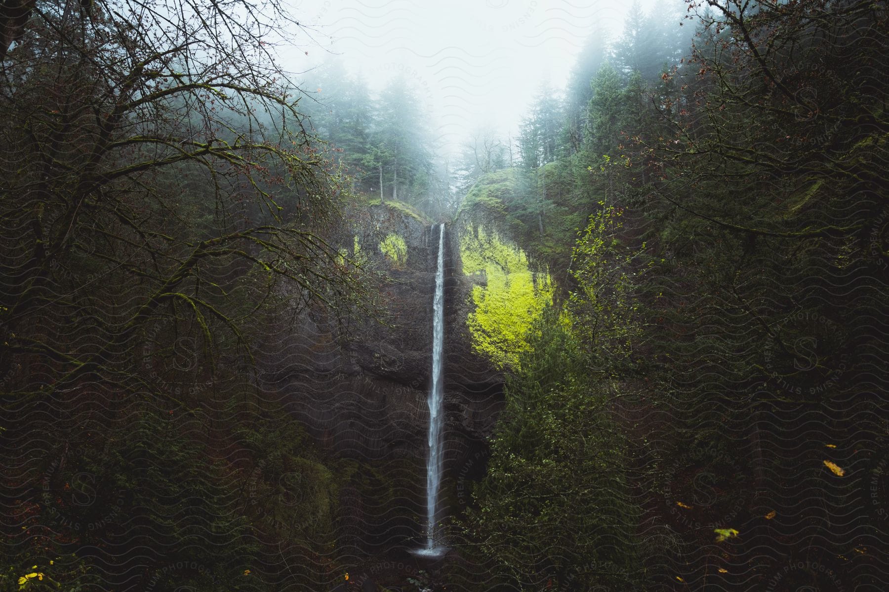 Stock photo of waterfall cascading down a rocky cliff surrounded by dense forest and mist.