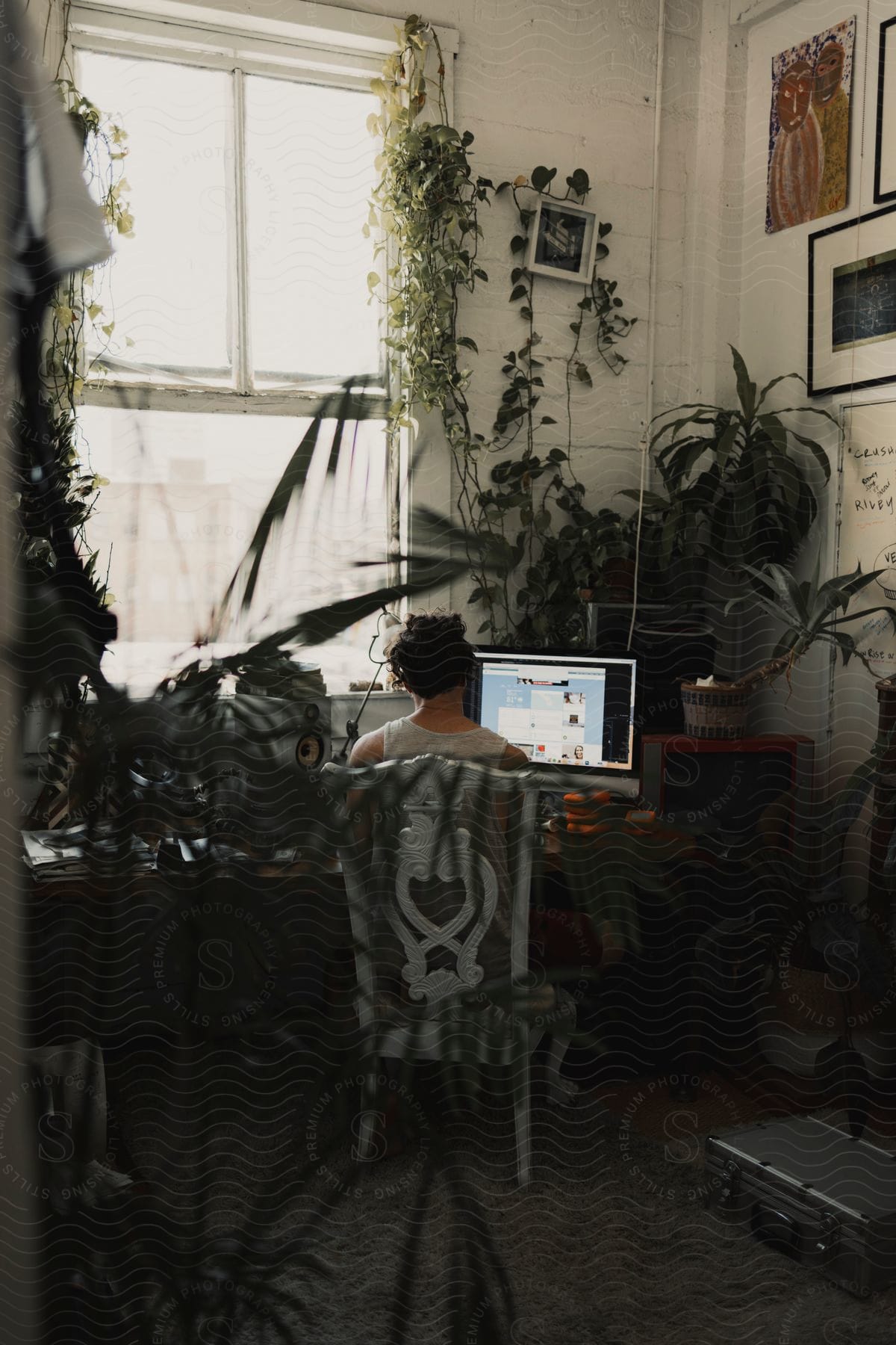 Stock photo of back view of a person sitting at a table near a window with a computer and potted plants with vines climbing the wall