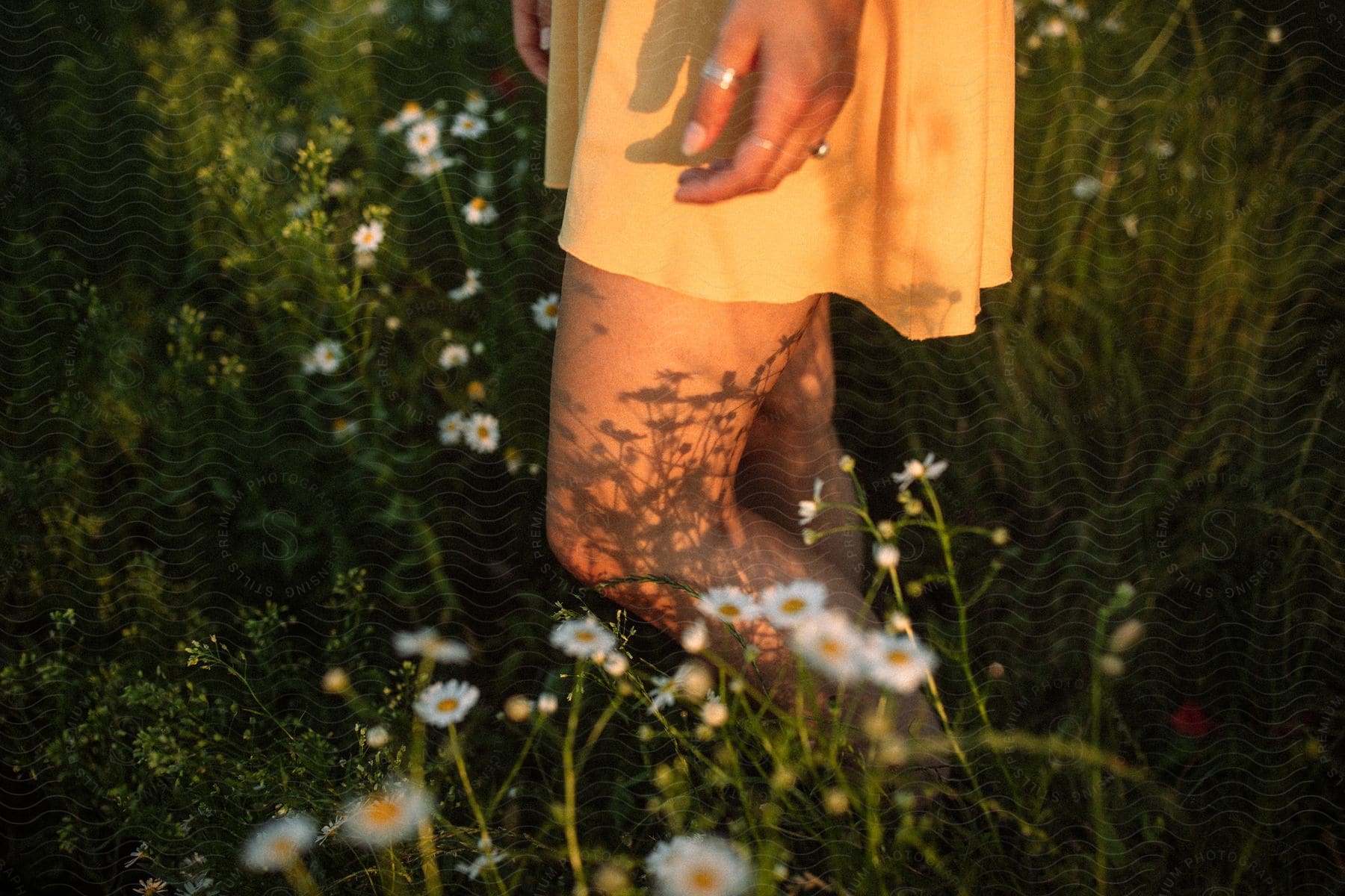 Close-up of the lower body of a person in an orange skirt walking in a field of white flowers.