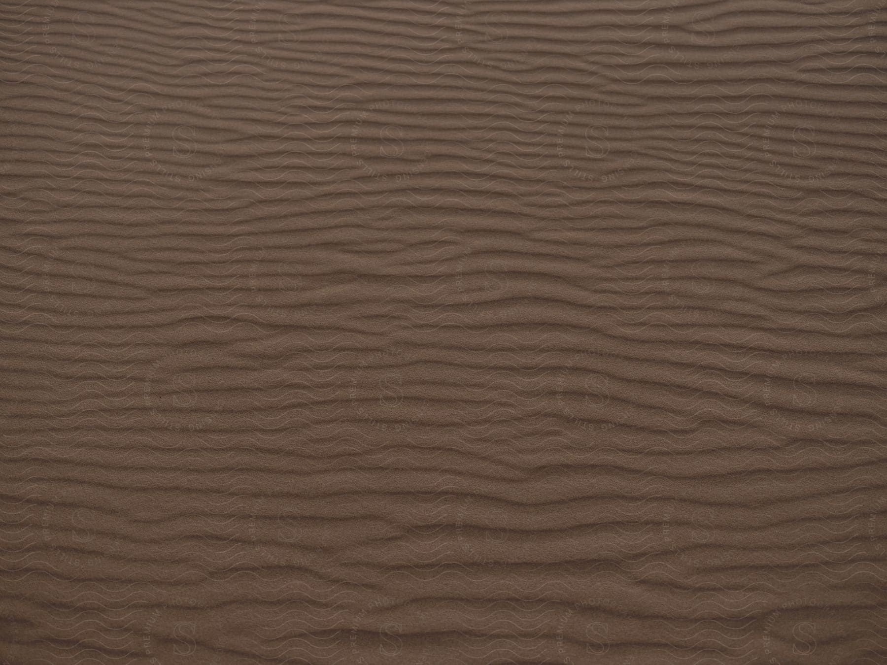 Repetitive wavy lines with ripples in the sand.